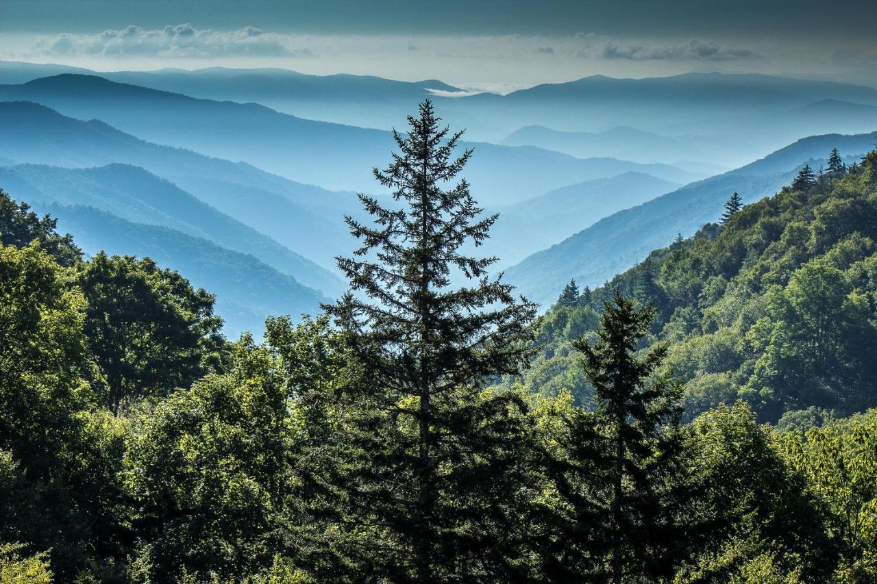 Villa Lazy Bear Den Sevierville Exterior foto