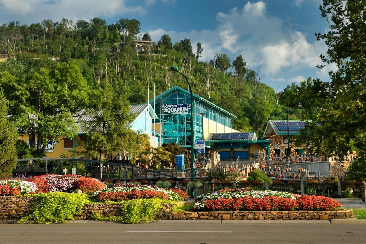 Villa Lazy Bear Den Sevierville Exterior foto